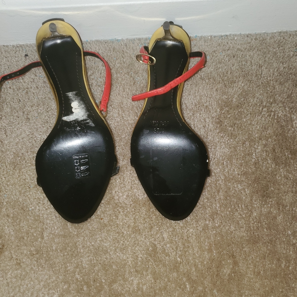 Giuseppe  Zanotti